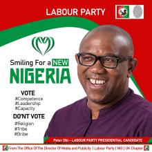 Peter Obi, Labour party